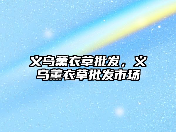 義烏薰衣草批發(fā)，義烏薰衣草批發(fā)市場